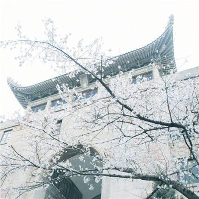 内蒙古自治区党委政府政协召开提案交办会张延昆讲话