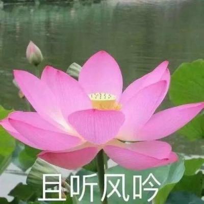 新华社权威快报 ｜6月起，一批民生新规开始施行